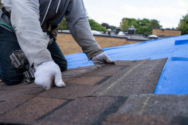 Best Roof Repair Services  in Larimore, ND