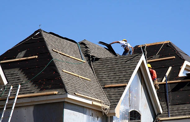 Best Roof Leak Repair  in Larimore, ND