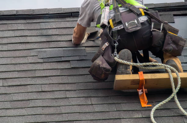 Best Best Roofing Contractors  in Larimore, ND