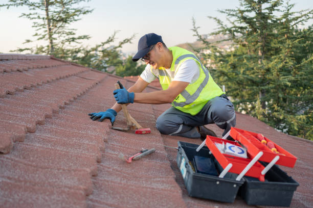 Best Roof Replacement Cost  in Larimore, ND
