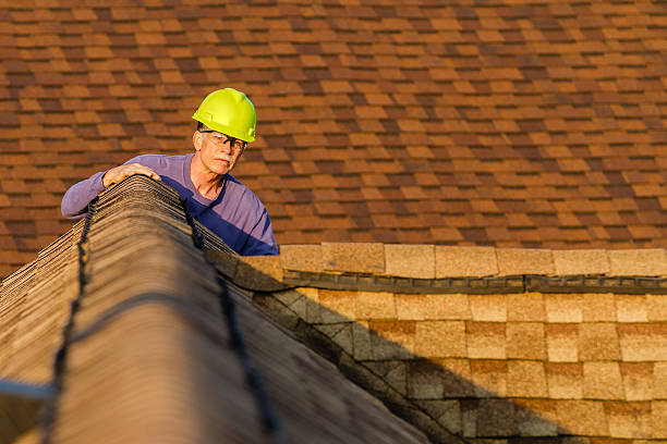 Best Roof Restoration Services  in Larimore, ND