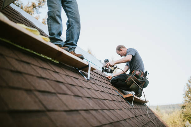 Best Best Roofing Contractors  in Larimore, ND