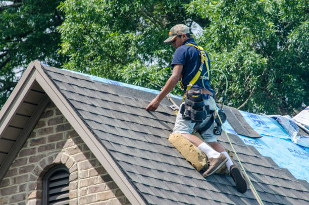 Best Roof Waterproofing Services  in Larimore, ND